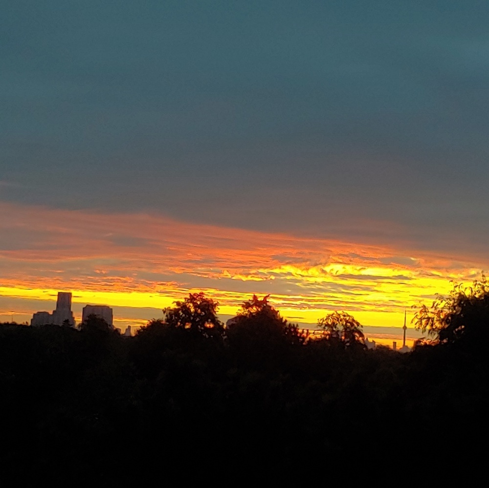 Meet your Posher, Ana